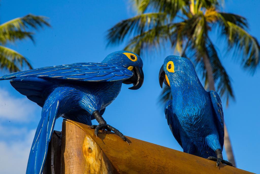 Club Meridional Praia Dos Carneiros By Aft Tamandaré エクステリア 写真