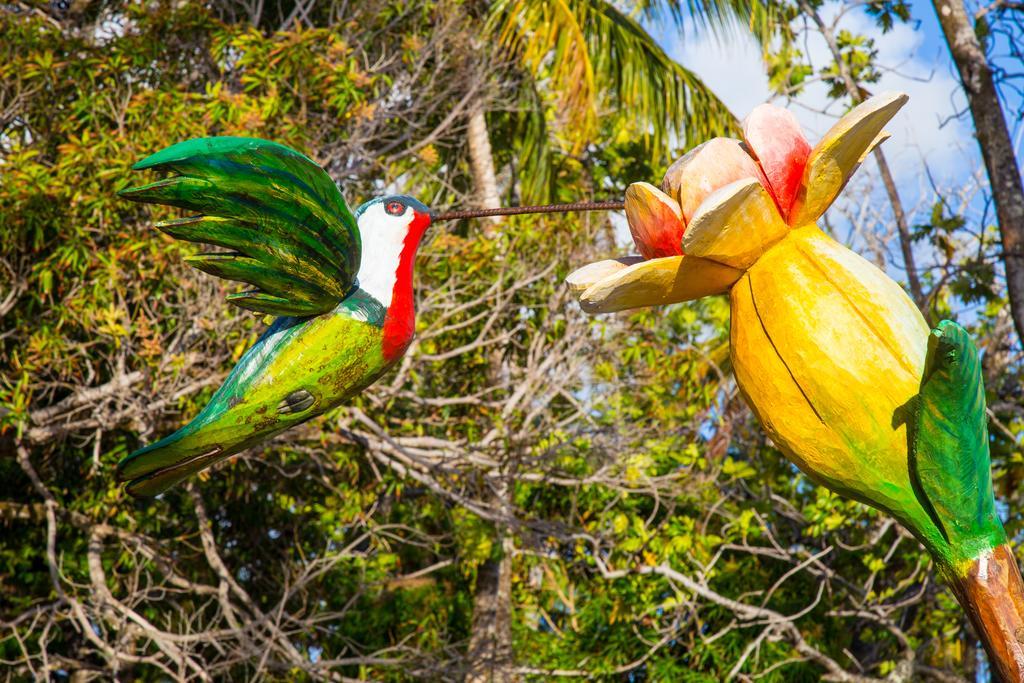 Club Meridional Praia Dos Carneiros By Aft Tamandaré エクステリア 写真